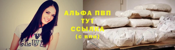 индика Красноперекопск