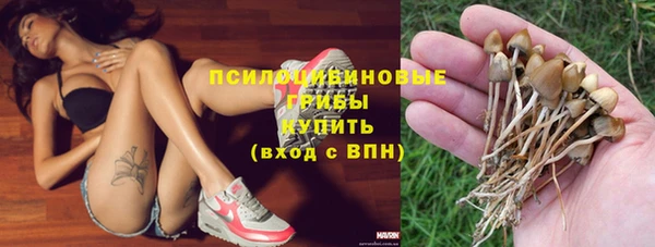 молекула духа Покачи