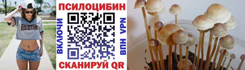 Псилоцибиновые грибы прущие грибы  Нерехта 